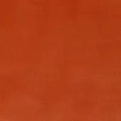 306861 - ARAGOSTA